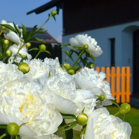 Ferienhaus Antdorfer Gartenglueck 外观 照片