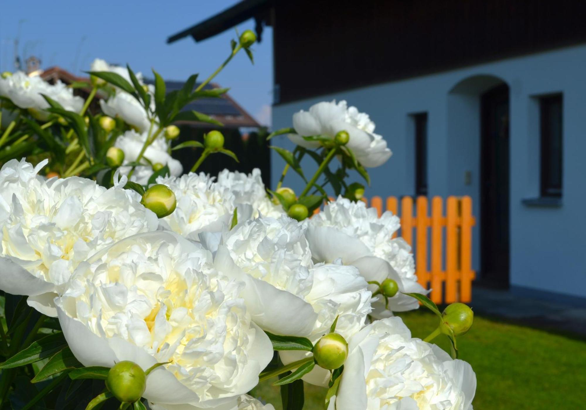 Ferienhaus Antdorfer Gartenglueck 外观 照片